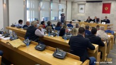 "Vlada da uplati Institutu milion eura sa računa FZO" thumb1.jpg