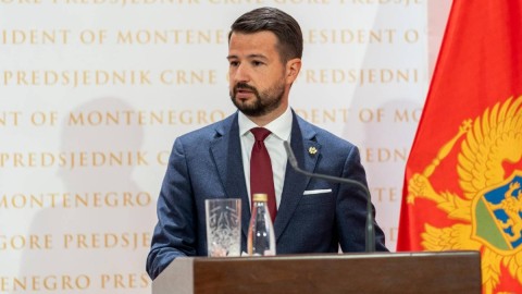 Milatović: Zabrinut zbog izjave Spajića da se razmatra prihvatanje migranata iz UK thumb2.jpg
