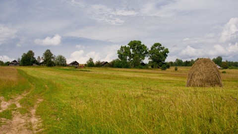 "Seljačina" thumb2.jpg