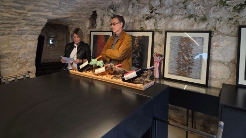 Otvorena izložba „Tišina među crnogorskim planinama” Marije Kapisode thumb2.jpg