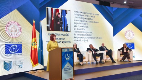 Pavličić: Nijedna vlast ne može biti iznad druge, a najmanje iznad prava thumb2.jpg