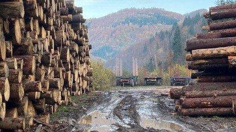 Građani bez ogrijeva, koncesionar trlja ruke thumb2.jpg