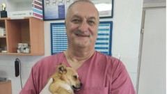 Svetski dan veterinara: Ljubav koja je postala posao
