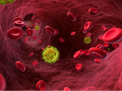 Danski naučnici na korak od lijeka za HIV Danski naučnici na korak od lijeka za HIV