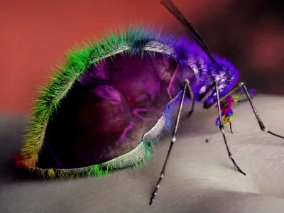 VIDEO: Yeah Yeah Yeahs - "Mosquito" VIDEO: Yeah Yeah Yeahs - "Mosquito"