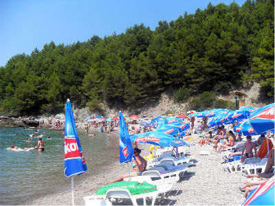 Bosanci "pumpaju" sezonu Bosanci "pumpaju" sezonu