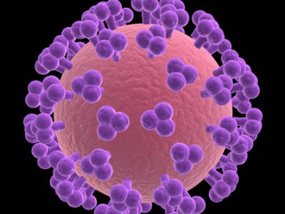 Konačno pronađen ubica virusa HIV-a? Konačno pronađen ubica virusa HIV-a?