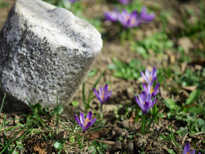 Proljeće na Balkanu, temeprature iznad prosjeka Proljeće na Balkanu, temeprature iznad prosjeka