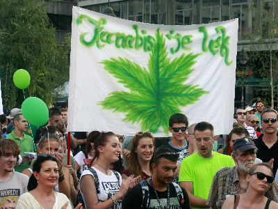 Hrvati na korak od legalizacije kanabisa Hrvati na korak od legalizacije kanabisa