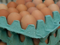 776581_eggs-1887395960720jpg
