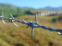 970260_barbed-wire-114500960720jpg