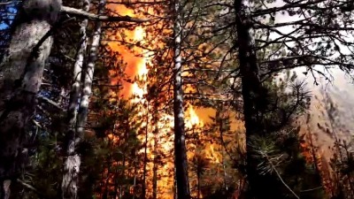 Centralni i primorski dio pod povećanim rizikom od požara Centralni i primorski dio pod povećanim rizikom od požara