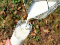 Ugrožen sektor mliječne proizvodnje