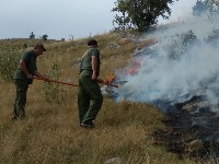  Nadležni hitno da se uključe u gašenje požara u NP Durmitor