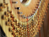 harp-17881871280.jpg