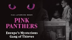 panther-thieves852.jpg