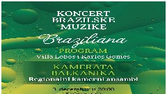 Концерт ансамбла Камерата Балканика
