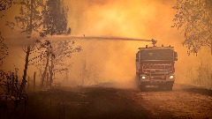 Maroko: Jedna osoba stradala u šumskom požaru