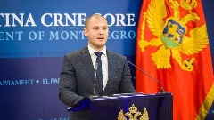 Vučinić: Vujoviću orden za poharu crnogorske industrije