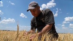 Zapad pozdravio sporazum o izvozu ukrajinskog žita