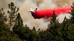 Vatrogasci se bore sa šumskim požarima na sjeveru Teksasa