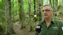 Biogradska gora u sigurnim rukama Mileta Rnkovića
