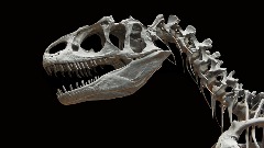 Skelet dinosaurusa prodat za šest miliona dolara