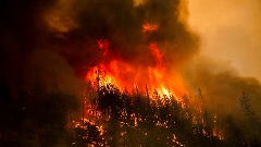 Zbog požara u Kaliforniji evakuisano dvije hiljade ljudi