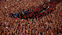 Sedmoro povrijeđenih tokom trke sa bikovima thumb1.jpg