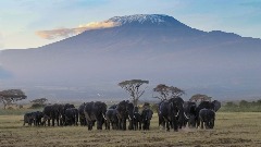 Ako se penjete na Kilimandžaro, imaćete internet i na vrhu planine