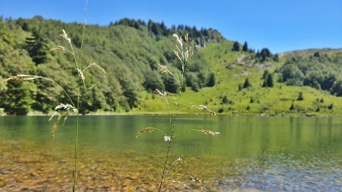 Претежно сунчано, до 28°C Претежно сунчано, до 28°C