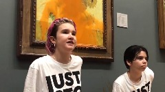 Aktivisti polili van Gogove "Suncokrete" paradajz supom thumb1.jpg