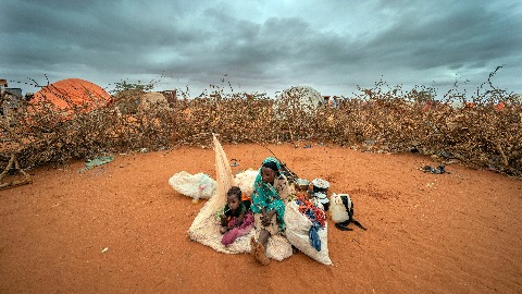 Сомалија: Око 43.000 људи умрло током суше