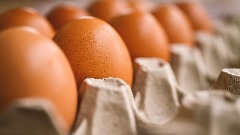 Влада Сјеверне Македоније замрзла цијене и ограничила извоз јаја 