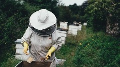 Наставак подршке пчеларском сектору