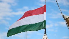 Из Мађарске поручили да су против Шведског уласка у НАТО
