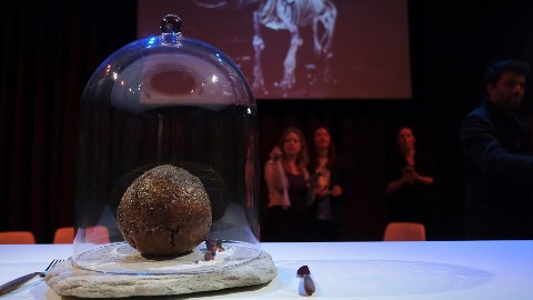 У Амстедаму изложена ћуфта од вјештачког меса мамута