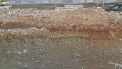 Najveća kolonija lasta u iskopu zgrade na Zabjelu thumb1.jpg