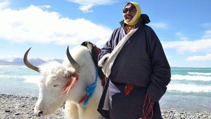 Мљечна исхрана помогла опстанку Тибетанаца