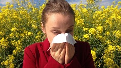 Климатске промјене утичу на сезону алергија