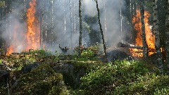 ЕУ ће удвостручити ватрогасну аеро-флоту због ризика од шумских пожара