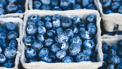 Borovnice - voće koje će vam sniziti krvni pritisak  thumb1.jpg