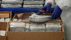 У Ријеци заплијењено више од пола тоне кокаина