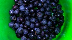 Borovnice mogu sniziti krvni pritisak thumb1.jpg