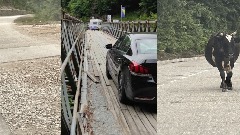 Turisti iz Srbije na mrežama o graničnom prelazu Šćepan polje  thumb1.jpg