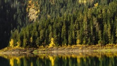 Bespravna sječa problem: Joković: Uskoro državno preduzeće za gazdovanje šumama thumb1.jpg