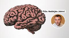 Izgubili smo neke sposobnosti a dobili nove thumb1.jpg