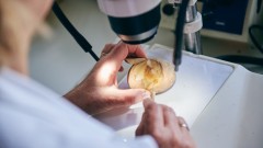 Objavljen konkurs za doktorske studije u drugom roku thumb1.jpg