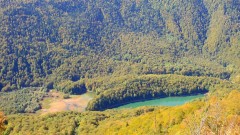 Prijave protiv dvije osobe zbog nelegalne gradnje u zoni NP Biogradska gora thumb1.jpg