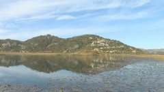 Saglasje u Strazburu: Porto Skadar Lake obustaviti u potpunosti thumb1.jpg